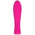 NALONE IAN MINI VIBRATOR PINK - D-212610 - Dona Pimenta