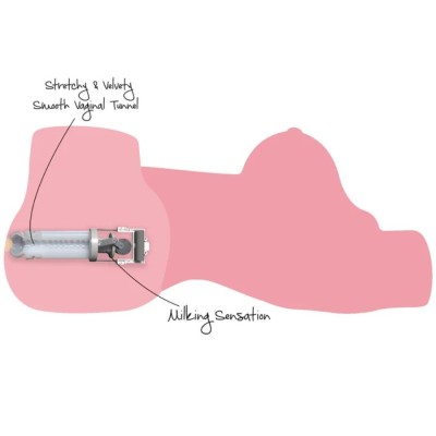 DESEJO OCULTO - TORSO DE CADELA ORDENHEIRA SAFADA, MASTURBADORA FEMININA, 10 KG - D-245535 - Dona Pimenta