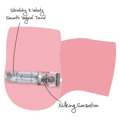 DESEJO OCULTO - CADELA DE BUNDA GRANDE QUE AMAMENTA E SE MASTURBA, 16 KG - D-245536 - Dona Pimenta