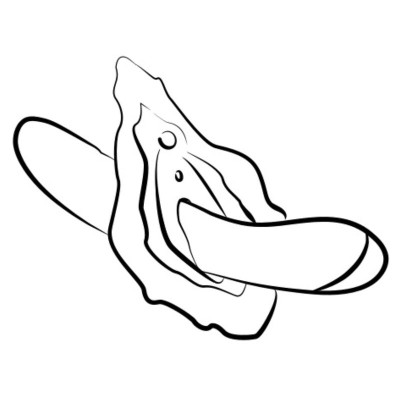 ROMP - HYPE VIBRADOR MULTIFUNCIONAL PARA PONTO G VERMELHO - D-245874 - Dona Pimenta