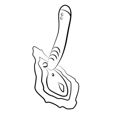 ROMP - HYPE VIBRADOR MULTIFUNCIONAL PARA PONTO G VERMELHO - D-245874 - Dona Pimenta