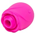 ROMP - ROSE Aparelho de sucção clitoriana em formato de rosa - D-245867 - Dona Pimenta