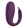 PRETTY LOVE - VIBRADOR DE OVO COM ACIONAMENTO POR APLICATIVO KLAY ROXO - D-245998 - Dona Pimenta