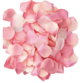 DIABLO PICANTE - 100 PÉTALAS ROSA - D-230255 - Dona Pimenta