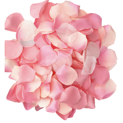 DIABLO PICANTE - 100 PÉTALAS ROSA - D-230255 - Dona Pimenta