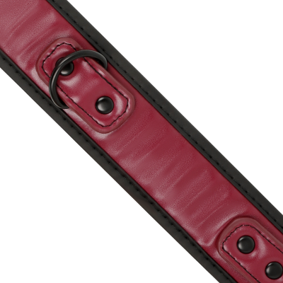 FETISH SUBMISSIVE DARK ROOM COLLAR CON CADENA CON FORRO DE NEOPRENO - D-227422 - Dona Pimenta