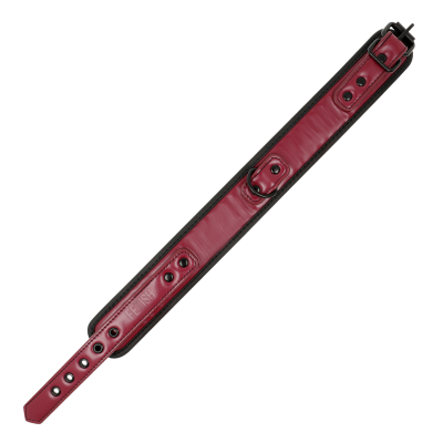 FETISH SUBMISSIVE DARK ROOM COLLAR CON CADENA CON FORRO DE NEOPRENO - D-227422 - Dona Pimenta