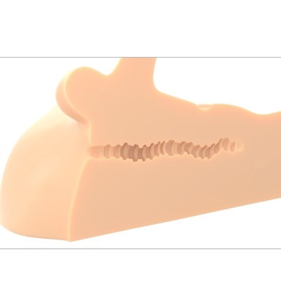 PDX PLUS - MASTURBADOR DE PÊNIS E ÂNUS PERFECT RIDE - D-236607 - Dona Pimenta