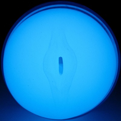 KIIROO - SINTA BRILHO NO ESCURO STROKER - D-239842 - Dona Pimenta