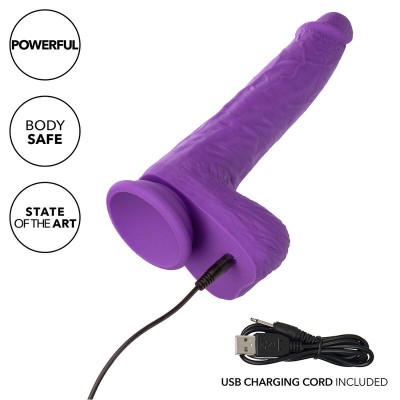 CALEXOTICS - STUDS VIBRADOR ROTATIVO E RECARREGÁVEL 10 VIBRAÇÕES ROXO - D-241439 - Dona Pimenta