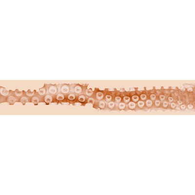 FLESHLIGHT FANTASY - SASHA NAKAMOTOVAGINA - D-242262 - Dona Pimenta