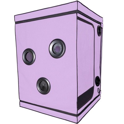 SECRET DOME - ESCÃNDALO ROXO DO CLUBE KINK - D-241943 - Dona Pimenta