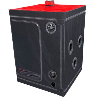 SECRET DOME - ESCÃNDALO DA CABINE DO KINK CLUB PRETO E VERMELHO - D-241944 - Dona Pimenta