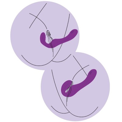 XOCOON - VIBRADOR STRAP-ON 2 EM 1 SEM ALÇAS COM CONTROLE REMOTO ROXO - D-243615 - Dona Pimenta