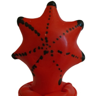 CONDOMERIE - PRESERVATIVOS NOVIDADES PINTADOS Ã MÃO ESTRELA DO MAR - D-243249 - Dona Pimenta