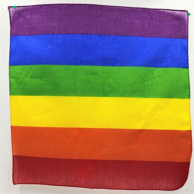 PRIDE - CACHECOL DE ALGODÃO COM A BANDEIRA DO ARCO-ÍRIS - D-243902 - Dona Pimenta