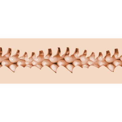 FLESHLIGHT FANTASIA - EVIE AKASHIYA VAGINA - D-244152 - Dona Pimenta