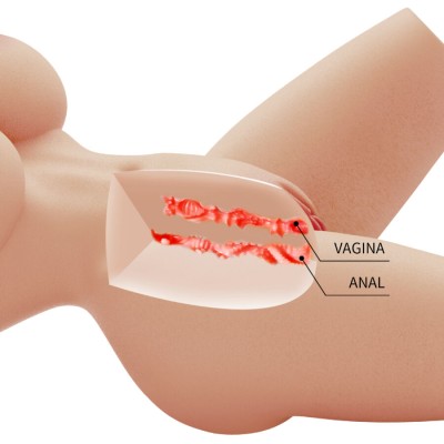 CRAZY BULL - MASTURBADOR DE TORSO FEMININO REALISTA 41,9 CM - D-243850 - Dona Pimenta